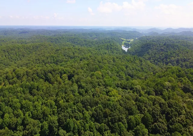 23rd image of 8218 Old Pond Creek Rd, Pegram, TN 37143 | MLS# 2991878