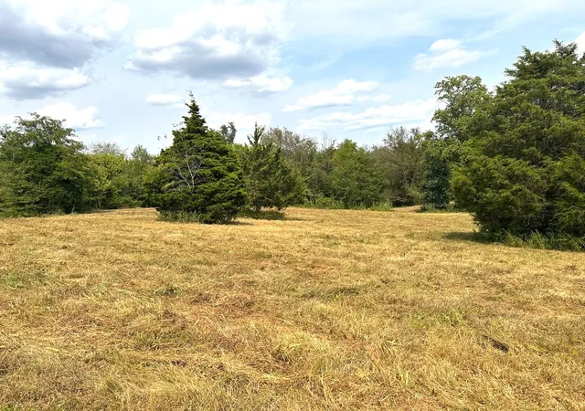 2nd image of 1 Burgess Gower Rd, Springfield, TN 37172 | MLS# 2990375