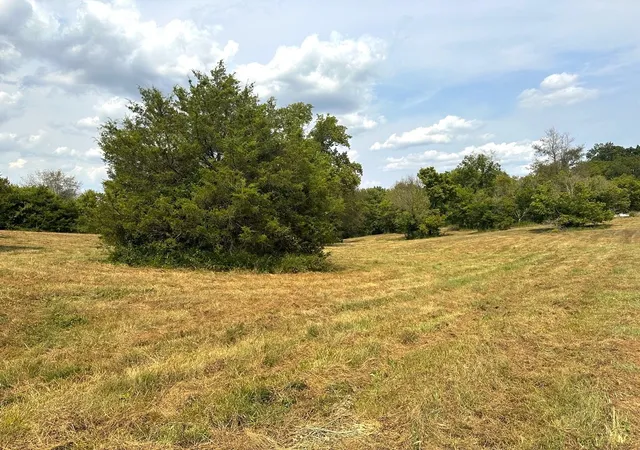 3rd image of 1 Burgess Gower Rd, Springfield, TN 37172 | MLS# 2990375