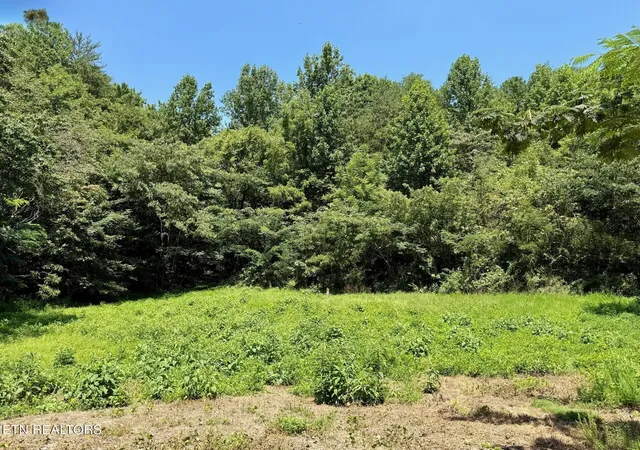 1st image of 0 Lot 0000 Ogle Dr, Pigeon Forge, TN 37863 | MLS# 3302025