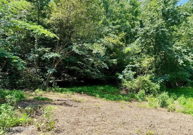 2nd image of 0 Lot 0000 Ogle Dr, Pigeon Forge, TN 37863 | MLS# 3302025