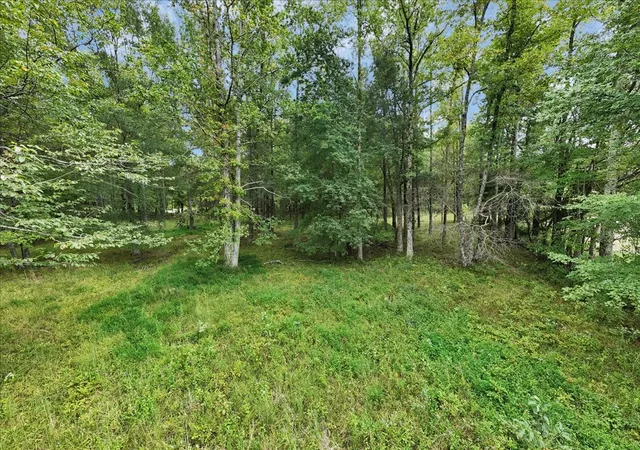 17th image of 8084 Old Alto Hwy, Decherd, TN 37324 | MLS# 2990938