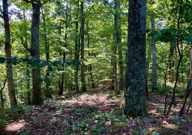 Photo 1 of Land for sale at 0 Taylor Chapel, Dover, TN 37058 | MLS# 2991251 | Listing updated on 2025-09-08