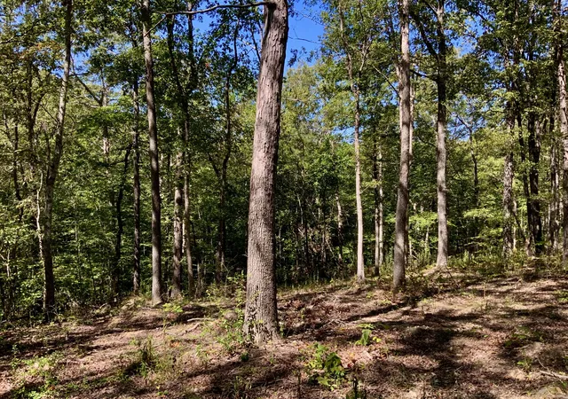 Photo 33 of Land for sale at 0 Taylor Chapel, Dover, TN 37058 | MLS# 2991251 | Listing updated on 2025-09-08