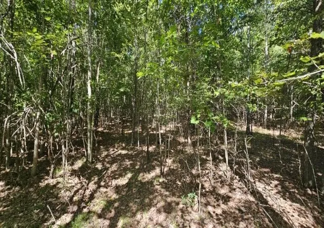 4th image of 327 2 Lake Trl, Dunlap, TN 37327 | MLS# 2991025
