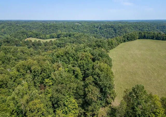 Photo 2 of Land for sale at 651 Judkins Ln N, Smithville, TN 37166 | MLS# 2991092 | Listing updated on 2025-09-08