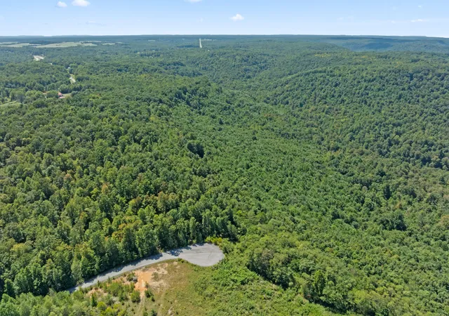 Photo 3 of Land for sale at 158 Lick Holw Br, Spencer, TN 38585 | MLS# 2992108 | Listing updated on 2026-08-19