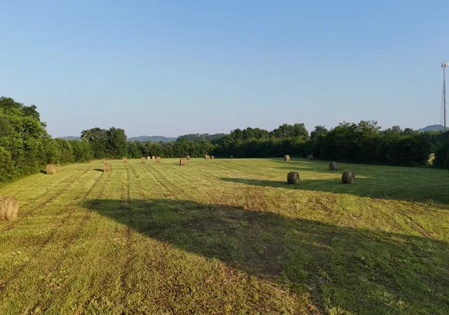1st image of 0 Cainsville Pike, Lascassas, TN 37085 | MLS# 2995342
