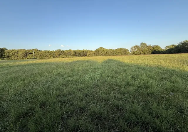 5th image of 0 Cainsville Pike, Lascassas, TN 37085 | MLS# 2995342