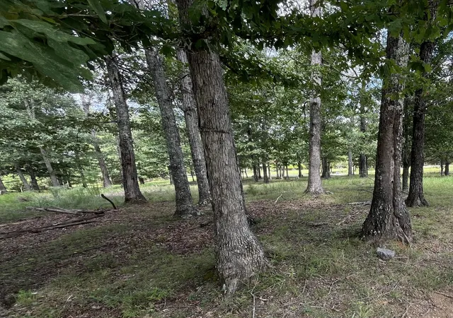 Photo 3 of Land for sale at 227 Blackberry Farm Rd, Monteagle, TN 37356 | MLS# 2999890 | Listing updated on 2026-07-27