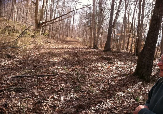 8th image of 0 Gravely Hill Rd, Bethpage, TN 37022 | MLS# 2995815