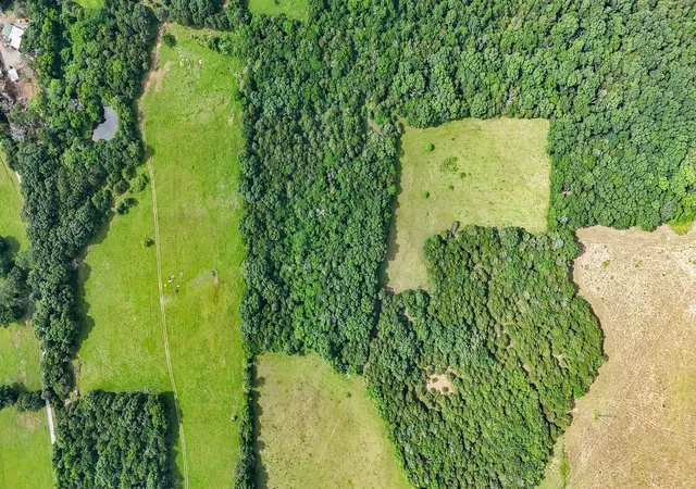 Photo 1 of Land for sale at 0 Clem Crk Rd, Chapel Hill, TN 37034 | MLS# 2992463 | Listing updated on 2025-09-12