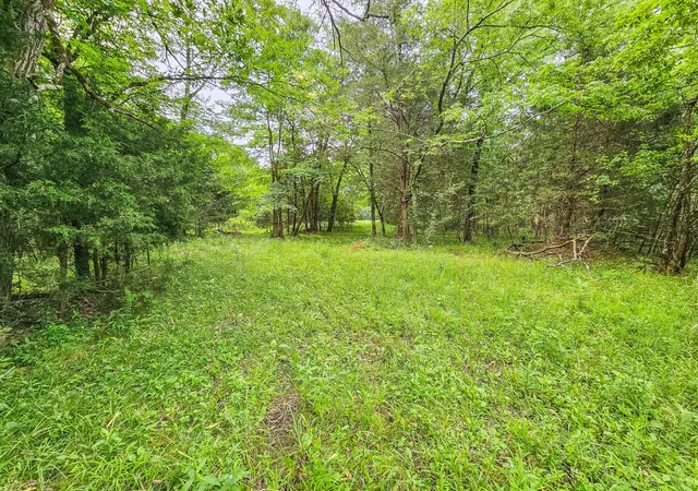 Photo 25 of Land for sale at 0 Clem Crk Rd, Chapel Hill, TN 37034 | MLS# 2992463 | Listing updated on 2025-09-12