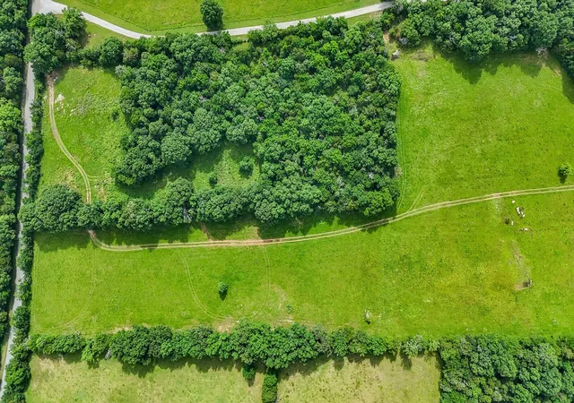 Photo 2 of Land for sale at 0 Clem Crk Rd, Chapel Hill, TN 37034 | MLS# 2992463 | Listing updated on 2025-09-12