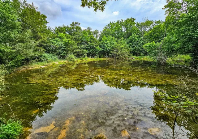 Photo 2 of Land for sale at 0 Clem Crk Rd, Chapel Hill, TN 37034 | MLS# 2992463 | Listing updated on 2025-09-12