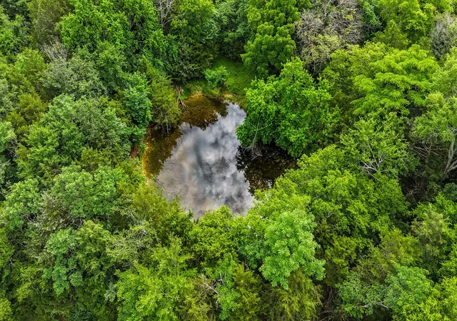 Photo 3 of Land for sale at 0 Clem Crk Rd, Chapel Hill, TN 37034 | MLS# 2992463 | Listing updated on 2025-09-12
