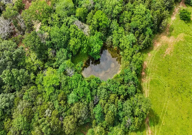 Photo 4 of Land for sale at 0 Clem Crk Rd, Chapel Hill, TN 37034 | MLS# 2992463 | Listing updated on 2025-09-12
