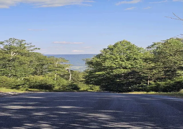 14th image of 561 Bluff View Dr, Dunlap, TN 37327 | MLS# 2992530