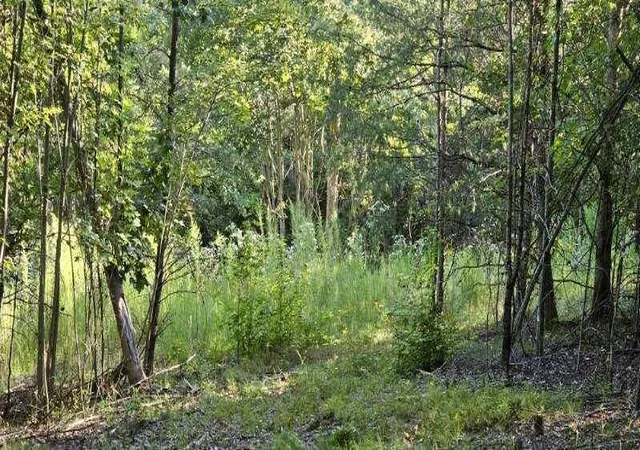 2nd image of 561 Bluff View Dr, Dunlap, TN 37327 | MLS# 2992530
