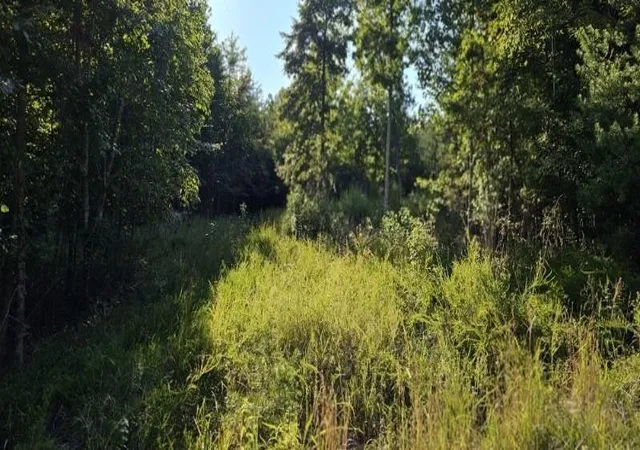 4th image of 561 Bluff View Dr, Dunlap, TN 37327 | MLS# 2992530