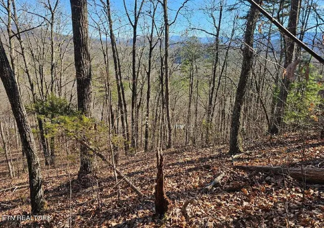Photo 1 of House for sale at 0 Red Rooster Way, Sevierville, TN 37876 | MLS# 3226597 | Listing updated on 2026-09-21