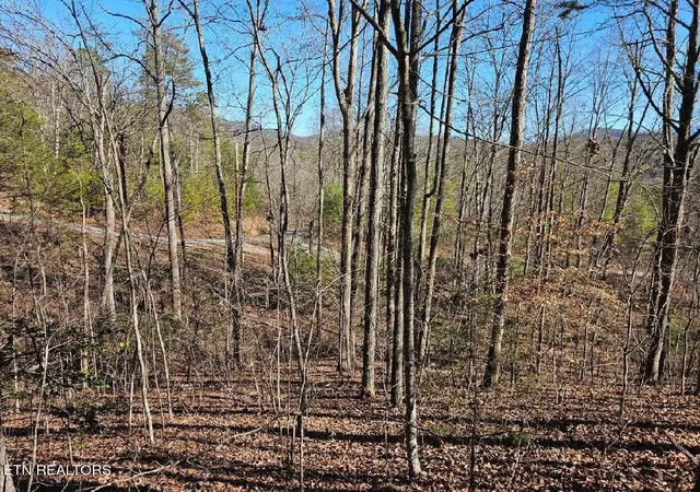 Photo 2 of House for sale at 0 Red Rooster Way, Sevierville, TN 37876 | MLS# 3226597 | Listing updated on 2026-09-21