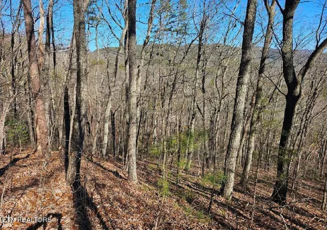 Photo 3 of House for sale at 0 Red Rooster Way, Sevierville, TN 37876 | MLS# 3226597 | Listing updated on 2026-09-21