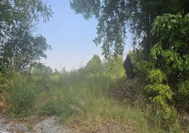 2nd image of 3551 Hwy 48, Cunningham, TN 37052 | MLS# 2993201