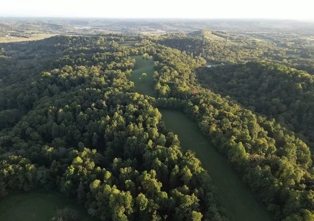 Photo 3 of Land for sale at 0 Lazy Branch Road, Wartrace, TN 37183 | MLS# 2994942 | Listing updated on 2026-10-01