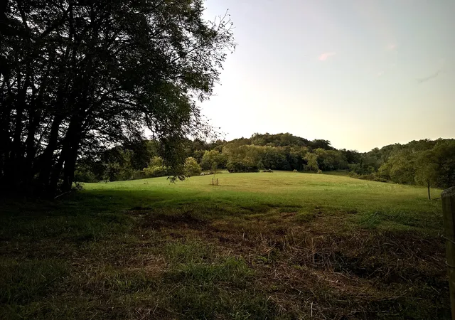 Photo 4 of House for sale at 0 Lazy Branch Road, Wartrace, TN 37183 | MLS# 2994942 | Listing updated on 2026-10-01