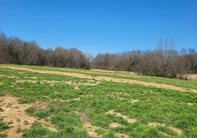 7th image of 7 Old Nashville Dirt Rd, Shelbyville, TN 37160 | MLS# 2992854
