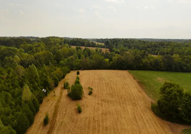 3rd image of 1668 Rapids Rd, Portland, TN 37148 | MLS# 2992830
