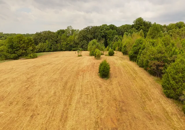 4th image of 1668 Rapids Rd, Portland, TN 37148 | MLS# 2992830