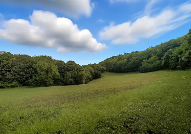 5th image of 1907 Burke Hollow Rd, Nolensville, TN 37135 | MLS# 2993197