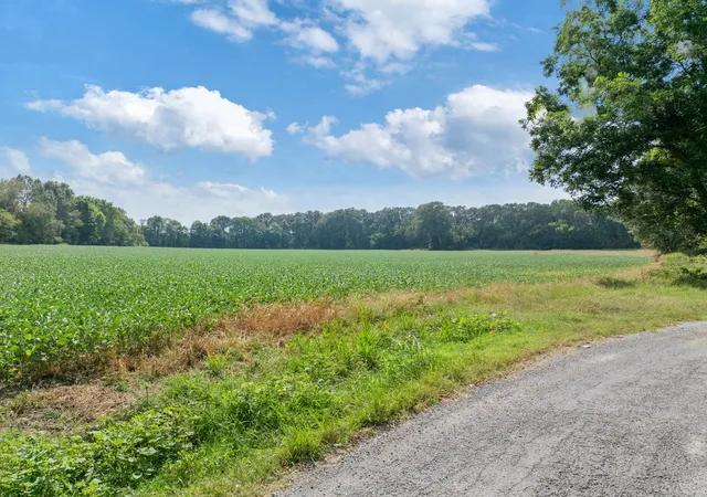 Homes for sale in Gleason, TN | 203 Peace And Harmony Road, Gleason, TN 38229 | MLS# 2993296