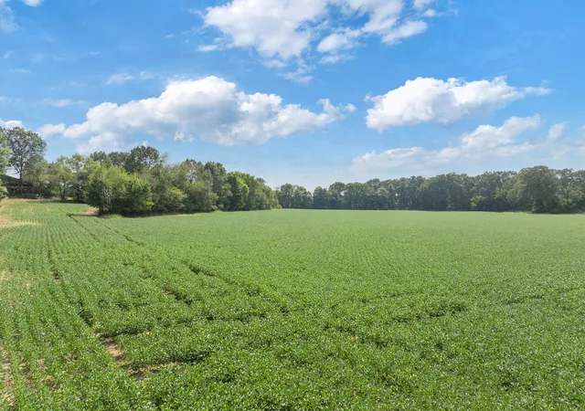 Homes for sale in Gleason, TN | 203 Peace And Harmony Road, Gleason, TN 38229 | MLS# 2993296