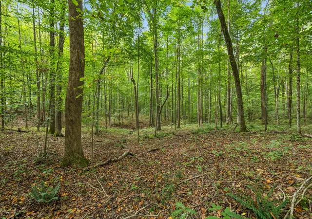 4th image of 0 Tidwell Swtich Road, Bon Aqua, TN 37025 | MLS# 2995853