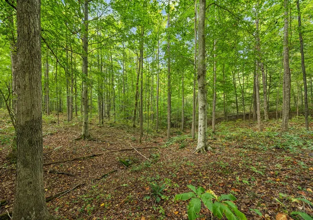 5th image of 0 Tidwell Swtich Road, Bon Aqua, TN 37025 | MLS# 2995853