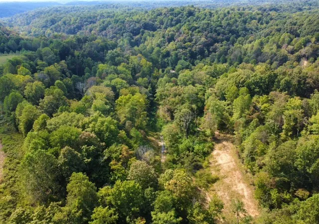 14th image of 8943 Phillips Hollow Road, Westmoreland, TN 37186 | MLS# 2993803