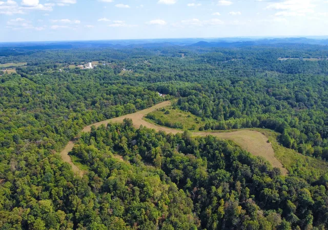 3rd image of 8943 Phillips Hollow Road, Westmoreland, TN 37186 | MLS# 2993803