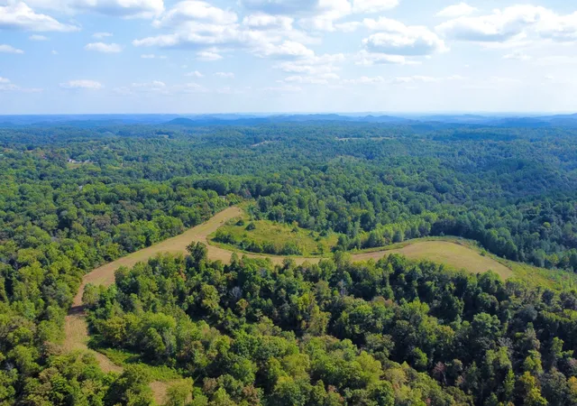 4th image of 8943 Phillips Hollow Road, Westmoreland, TN 37186 | MLS# 2993803