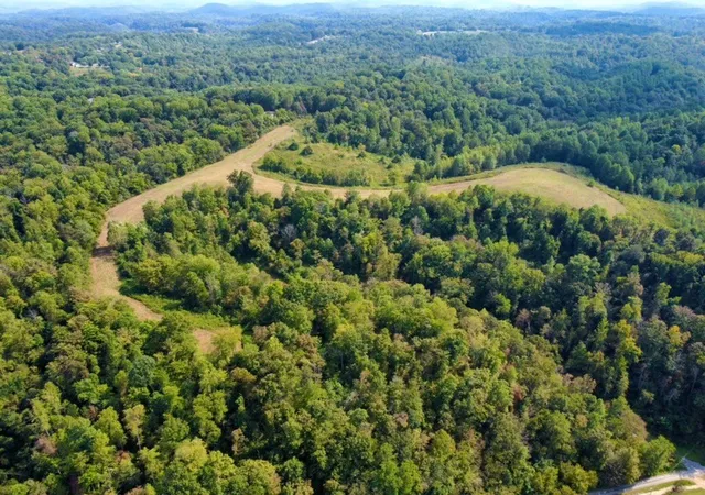 5th image of 8943 Phillips Hollow Road, Westmoreland, TN 37186 | MLS# 2993803