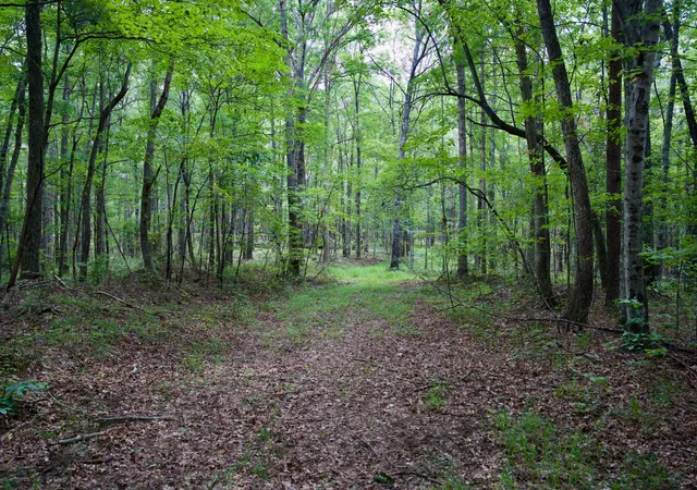 2nd image of 0 Fikes Field Rd & Greenfield Rd, Spencer, TN 38585 | MLS# 2994297