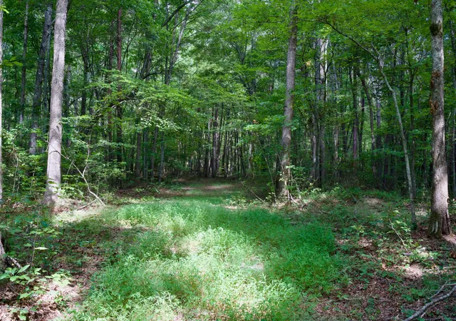 4th image of 0 Fikes Field Rd & Greenfield Rd, Spencer, TN 38585 | MLS# 2994297