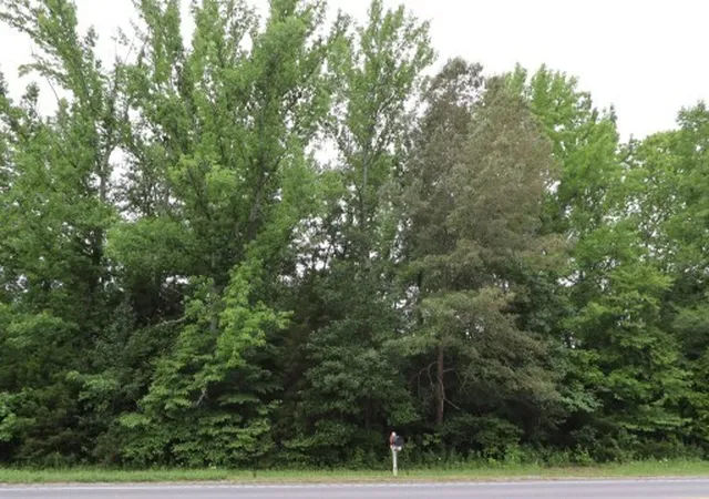 2nd image of 1183 Hwy 96 N, Fairview, TN 37062 | MLS# 2994391