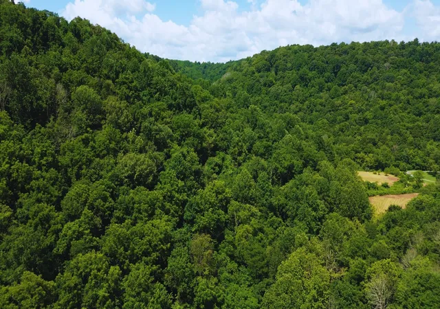 Photo 20 of Land for sale at 0 Hollis Creek Rd S, Woodbury, TN 37190 | MLS# 2999739 | Listing updated on 2025-10-07