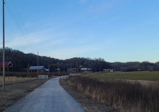 26th image of 1947 Hardin Bottom Rd, Clifton, TN 38425 | MLS# 2995323