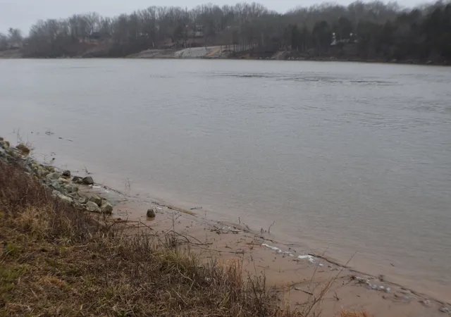 4th image of 1947 Hardin Bottom Rd, Clifton, TN 38425 | MLS# 2995323