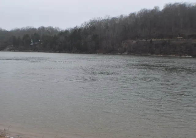 5th image of 1947 Hardin Bottom Rd, Clifton, TN 38425 | MLS# 2995323