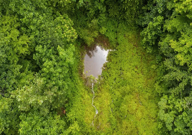 Photo 3 of Single family home for sale at 5609 Wilkins Branch Rd, Franklin, TN 37064 | MLS# 3272377 | Listing updated on 2026-08-20